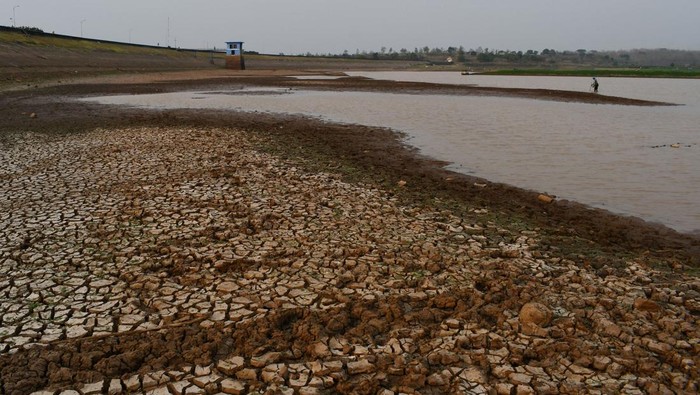 Waduk Dawuhan di Madiun Mengering Akibat Kemarau, Begini Potretnya Kondisi Waduk Dawuhan yang airnya menyusut di Kabupaten Madiun, Jawa Timur, Selasa (6/9/2022). Waduk Dawuhan yang memiliki daerah irigasi seluas 2.823 hektare sawah tersebut tinggal menyisakan sedikit air akibat musim kemarau, dan sejak dua minggu terakhir pintu air waduk untuk keperluan irigasi ditutup karena sisa air yang ada digunakan untuk menjaga kelembaban waduk. ANTARA FOTO/Siswowidodo/tom.