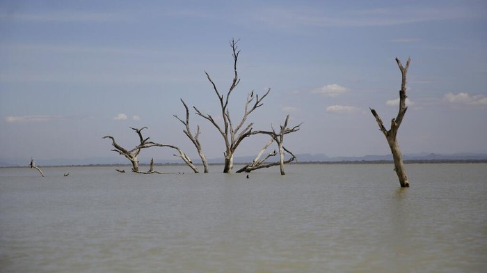Women wait for fish after a catch by fishermen at Lake Baringo in Kampi ya Samaki, Kenya, Thursday, July 21, 2022. Water is rising in part due to climate change, and hippos and other animals are coming into contact with humans more frequently. (AP Photo/Brian Inganga)