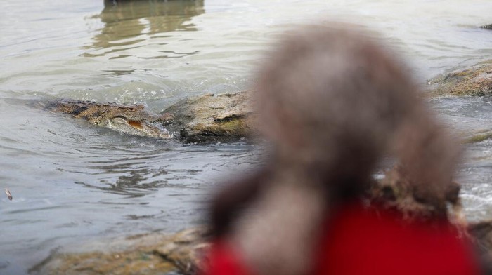 Abrasi di Kenya Bikin Buaya Makin Dekat dengan Warga Women wait for fish after a catch by fishermen at Lake Baringo in Kampi ya Samaki, Kenya, Thursday, July 21, 2022. Water is rising in part due to climate change, and hippos and other animals are coming into contact with humans more frequently. (AP Photo/Brian Inganga)