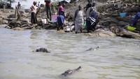 Buaya mendekati wanita yang sedang mencuci baju hingga menyiapkan ikan untuk dijual di tepi Baringo, Kampi ya Samaki, Kenya, Rabu (20/8/2022). Danau ini berada 200 km sebelah utara Ibu Kota Nairobi.
