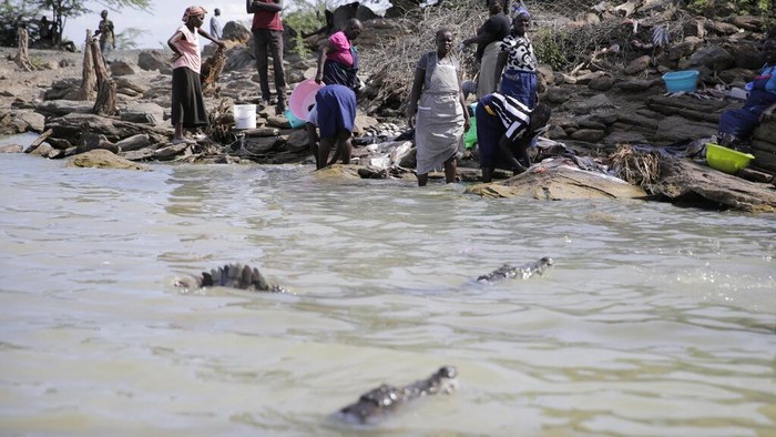 Abrasi di Kenya Bikin Buaya Makin Dekat dengan Warga Women wait for fish after a catch by fishermen at Lake Baringo in Kampi ya Samaki, Kenya, Thursday, July 21, 2022. Water is rising in part due to climate change, and hippos and other animals are coming into contact with humans more frequently. (AP Photo/Brian Inganga)