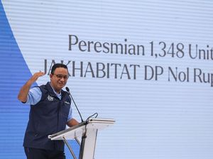 Anies Siap Nyapres, NasDem: Jangan Malu-malu Kucing