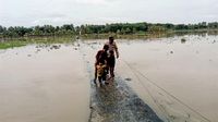 Banjir Bandang Terjang Tegalbuleud Sukabumi