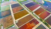 Terlihat tiap petakan tambak garam mempunyai warna yang berbeda-beda. Danau Garam Yuncheng adalah salah satu daerah penghasil garam yang terkenal di China.  