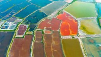 Makin di zoom out, danau garam ini semakin terlihat menarik. Sejarawan menemukan bukti penambangan garam pertama di Danau Yuncheng dimulai setidaknya 4.000 tahun yang lalu. Bahkan manusia telah tinggal di sekitar danau sebelum mereka mengenal kegunaan garam.
