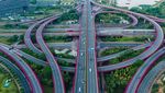 Wow... Bunga Bougenville Bikin Simpang Susun di China Makin Cantik