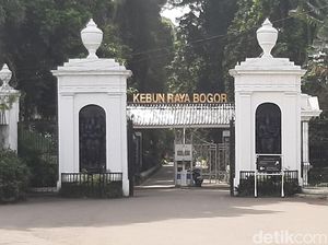 Cara ke Kebun Raya Bogor Naik KRL, Cek Rutenya di Sini