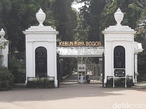 Cara ke Kebun Raya Bogor Naik KRL, Cek Rutenya di Sini