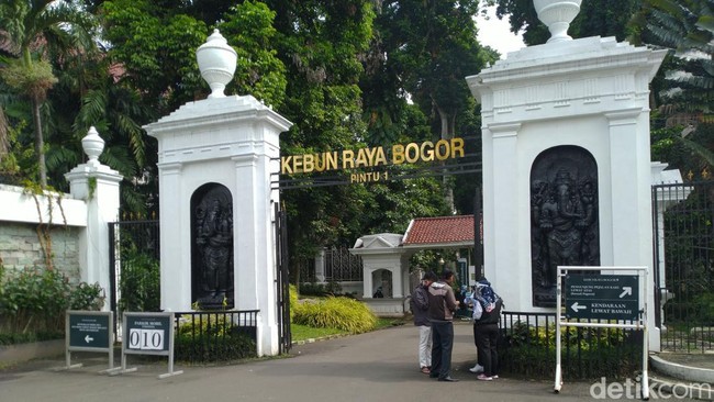 6 Fakta Rombongan Paksa Masuk Kebun Raya Bogor Bikin Sekuriti Terluka