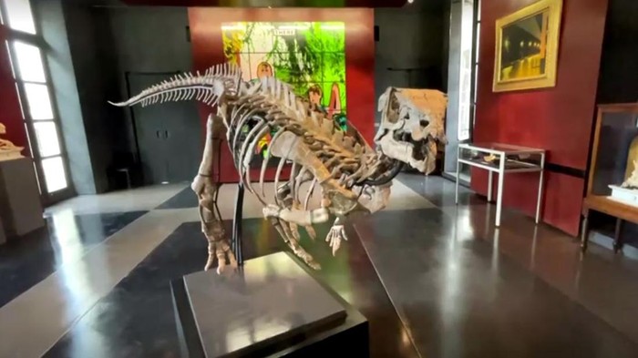 Dinosaurus