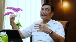 Luhut: Turis Asing yang Nakal Tidak Kami Perlukan di Bali