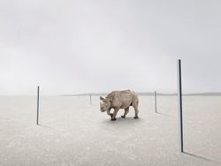 Karya Jawara Kontes Foto Minimalis Bikin Mata Terpukau Tak Berkedip