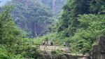 Hijaunya Taman Nasional Guangdong China, Ada Air Terjun di Tengahnya