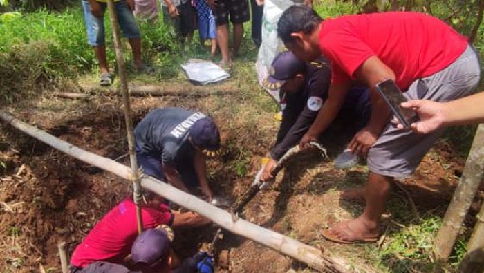Petugas Damkar Wonogiri mengevakuasi ular piton di Dusun Geneng Desa Purwosari Kecamatan Wonogiri Kota.
