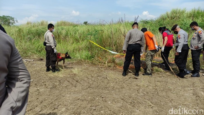 Anjing pelacak dikerahkan untuk mencari bagian tubuh yang hilang dari mayat terbakar di kawasan Marina, Kota Semarang, Jumat (9/9/2022).