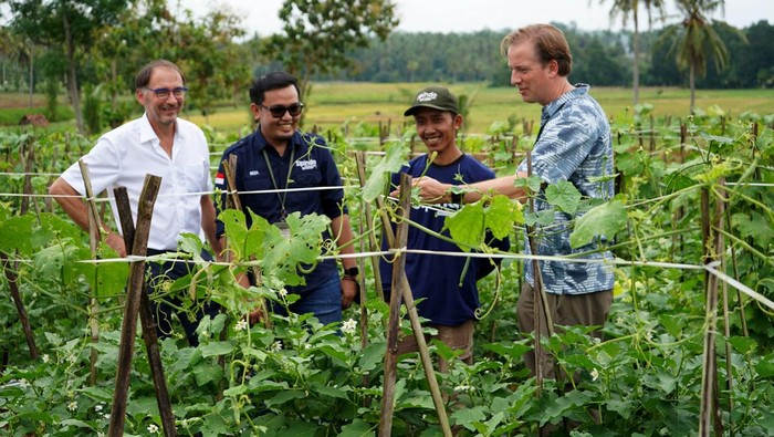 Aplikasi Ini Bantu Tingkatkan Produksi Petani CEO Sistem Informasi Pertanian Indonesia (SIPINDO) Muhammad Reza Hanjaya (dua kanan) bersama Program Manager Space for Sustainable Development Netherlands Space Office (NSO) Ruud Grim (kanan) dan Advisor Satellite Application NSO Kees van Duijvendijk (kiri) menerangkan cara penggunaan fitur Aplikasi SIPINDO langsung pada tanaman kepada petani di Lampung, Jumat (9/9/2022). Aplikasi SIPINDO dikembangkan oleh perusahaan benih sayuran PT East West Seed Indonesia (EWINDO) bersama NSO sebagai mitra konsorsium SIPINDO Powered by Smartseeds serta ICCO, IPB dan Nelen Schuurmans berhasil membuat produksi petani tumbuh 22%, efisiensi penggunaan pestisida naik lebih dari 15%, efisiensi penggunaan air meningkat hingga 14% dan efisiensi penggunaan benih dan pupuk meningkat sebesar 9%.