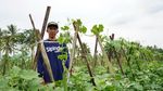 Aplikasi Ini Bantu Tingkatkan Produksi Petani