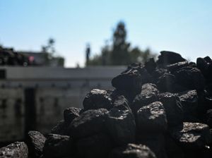 Harga Batu Bara Naik Tinggi, Laba Bersih Bukit Asam Tembus Rp 10 T