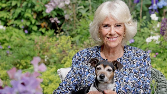 Inilah potret terbaru Camilla di ulang tahunnya ke-75 pada bulan Juli. Kini Camilla mendapat gelar baru setelah Ratu Elizabeth II meninggal yang otomatis Pangeran Charles naik takhta sebagai Raja. Camilla Parker Bowles sendiri menerima gelar Queen Consort atau Permaisuri. Foto: dok. Instagram