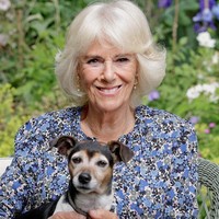 Inilah potret terbaru Camilla di ulang tahunnya ke-75 pada bulan Juli. Kini Camilla mendapat gelar baru setelah Ratu Elizabeth II meninggal yang otomatis Pangeran Charles naik takhta sebagai Raja. Camilla Parker Bowles sendiri menerima gelar Queen Consort atau Permaisuri. Foto: dok. Instagram