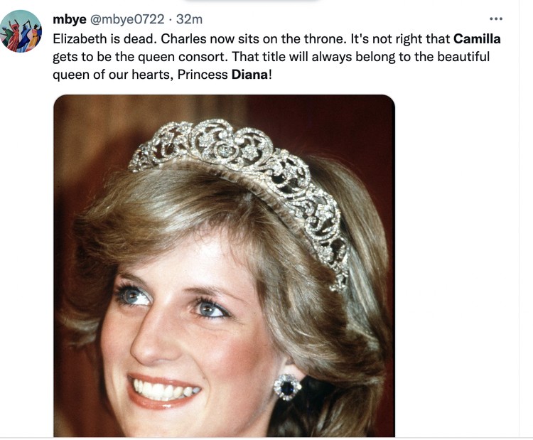 Diana vs Camilla Diana vs Camilla