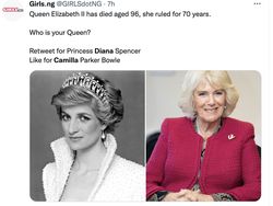 Camilla Jadi Permaisuri, Netizen Malah Gaungkan Putri Diana