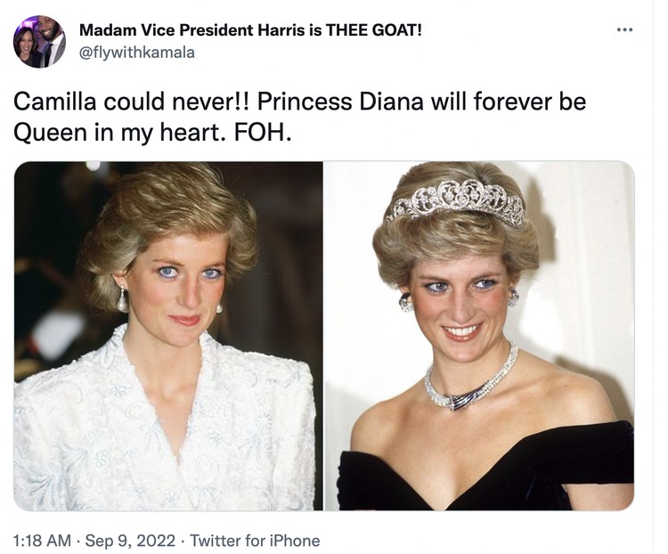 Diana vs Camilla Diana vs Camilla
