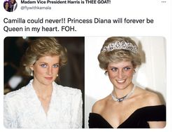 Camilla Jadi Permaisuri, Netizen Malah Gaungkan Putri Diana