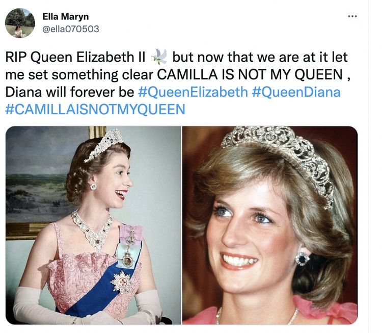 Diana vs Camilla Diana vs Camilla