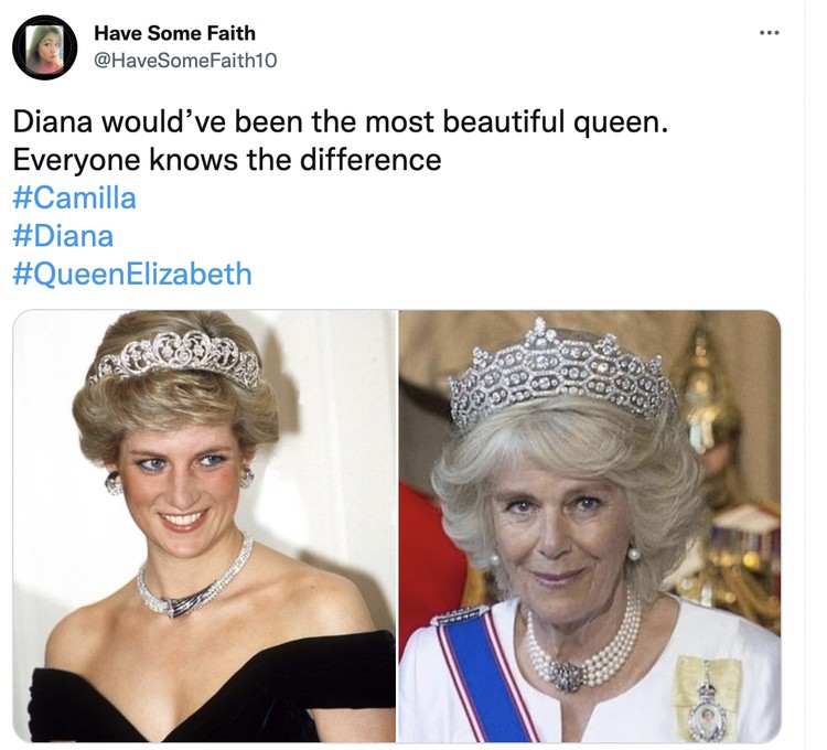 Diana vs Camilla Diana vs Camilla