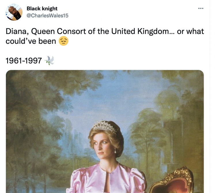 Diana vs Camilla Diana vs Camilla