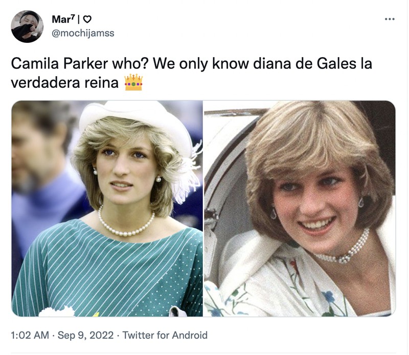 Diana vs Camilla
