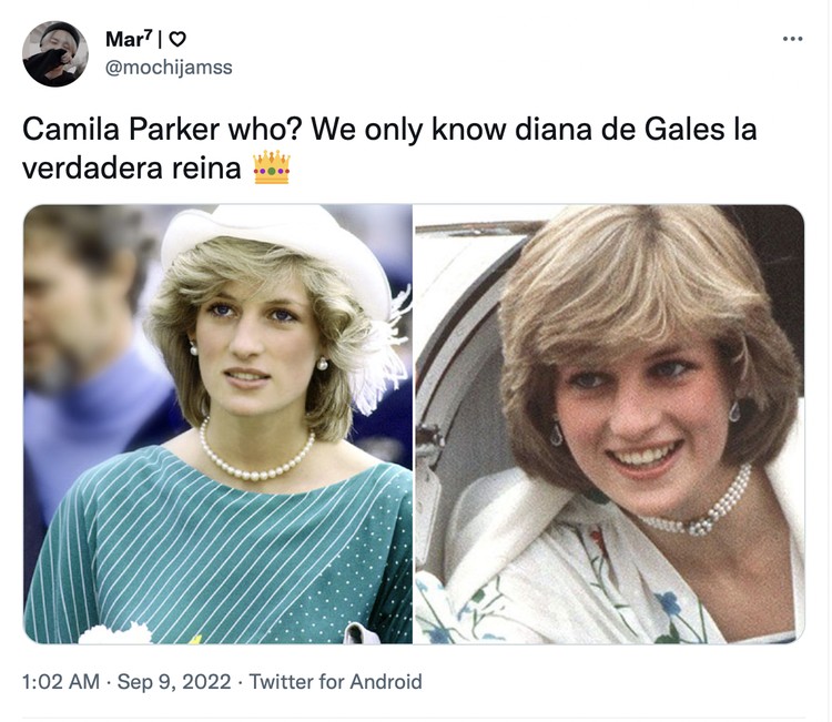Diana vs Camilla Diana vs Camilla