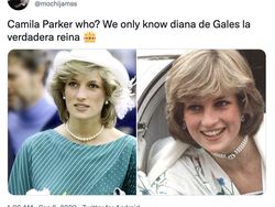 Camilla Jadi Permaisuri, Netizen Malah Gaungkan Putri Diana
