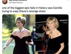 Camilla Jadi Permaisuri, Netizen Malah Gaungkan Putri Diana