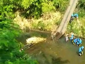 Jembatan Gantung Ambruk di Probolinggo, 37 Siswa dan Guru Gerak Jalan Luka