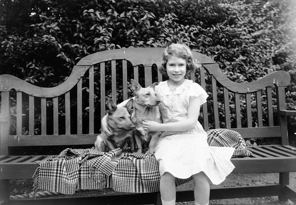 Putri Elizabeth bersama kedua anjing corgi kesayangannya di rumahnya di 145 Piccadilly, London pada bulan Juli 1936. (Foto: Hulton Archive/Getty Images)