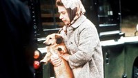 Ratu pun menunjukkan kasih sayangnya pada anjing corgi yang dia miliki. Ia bahkan menyebut sekumpulan anjing itu sebagai keluarganya. (Getty Images/Anwar Hussein)  
