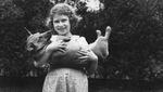 Kisah Ratu Elizabeth II dengan Puluhan Anjing Corginya