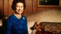 Terlepas dari cinta dan kasih sayang Ratu Elizabeth kepada sekumpulan anjing corgi miliknya, ada alasan lain yang bisa menjelaskan pentingnya anjing corgi di kehidupan sang Ratu. (Bettmann/Getty Images)  