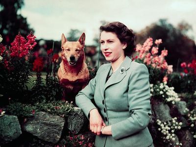Berdedikasi Hingga Detik Terakhir, Potret Ratu Elizabeth dari Masa ke Masa