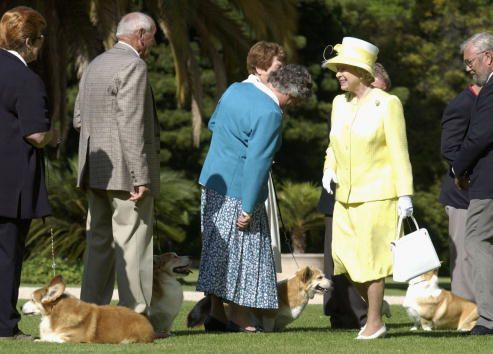 Penguasa kerajaan Inggris Ratu Elizabeth II memang dikenal dengan sejumlah ciri khas. Mulai dari kebiasaan mengenakan pakaian berwarna cerah, hobi menunggang kuda, dan satu lagi, berkawan dengan anjing berjenis corgi. Ya, Ratu Elizabeth II ternyata memang memiliki sejarah panjang dengan anjing mungil tersebut.