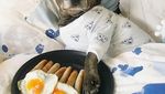 Lucunya! Selebgram Duo Anjing Ini Jadi Foodies yang Hobi Kulineran