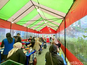 Serasa di Korea! Makan Gurita Pedas Sambil Seruput Soju di Warung Tenda