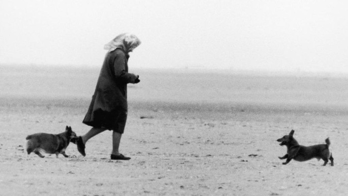 Ratu Elizabeth II Her Majesty Queen Elizabeth II walking two of her corgis on the beach near Sandringham, Norfolk. 27th July 1984. (Photo by Alisdair MacDonald/Mirrorpix/Getty Images)