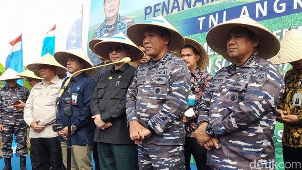 TNI AL dan Kementan tanam sorgum