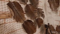 Ini layang layang tradisional dari Lampung terbuat dari daun dan digunakan oleh nelayan untuk menerbangkan umpan untuk memancing ikan terbang