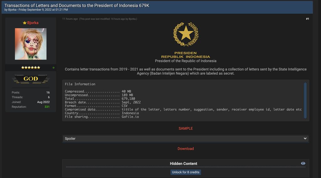 Hacker Bjorka Saya Nunggu Digerebek Pemerintah Indonesia Hacker Bjorka Saya Nunggu Digerebek Pemerintah Indonesia
