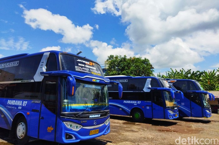 Bus di Terminal Brawijaya Banyuwangi