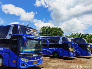 Harga BBM Melambung, Tarif Bus Antarkota di Banyuwangi Naik 30 Persen